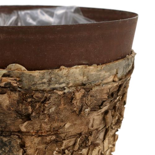 Floristik24 Pot with birch and metal Ø17.5cm H16.5cm 1p