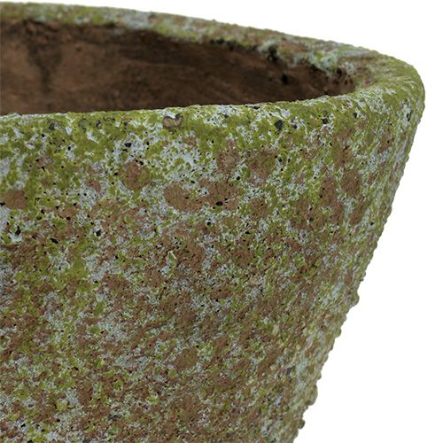 Floristik24 Pot gray moss Ø16cm H13.5cm 1p