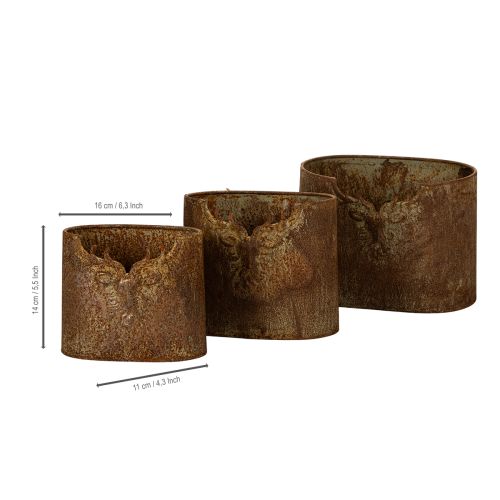 Plant pot deer metal oval rustic set of 3 24cm | Floristik24.ie