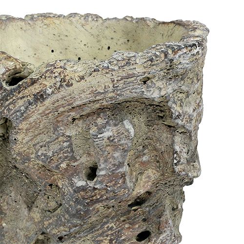 Floristik24 Pot as a tree trunk Ø10.5cm H12cm 2pcs