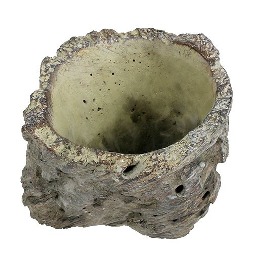 Floristik24 Pot as a tree trunk Ø10.5cm H12cm 2pcs