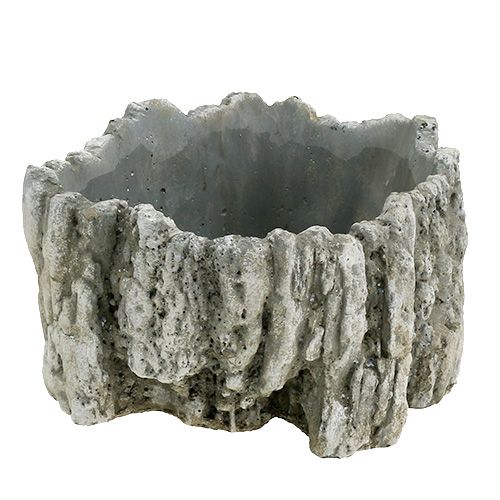 Floristik24 Pot with bark 20.5cm x 17cm 1p