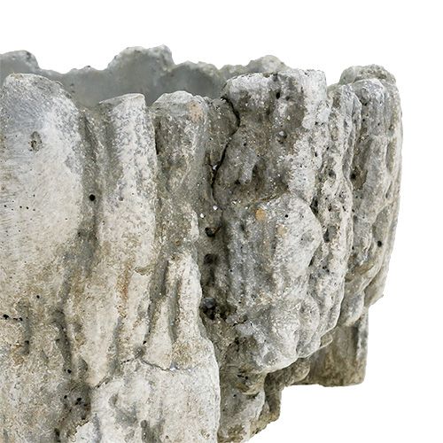 Floristik24 Pot with bark 20.5cm x 17cm 1p