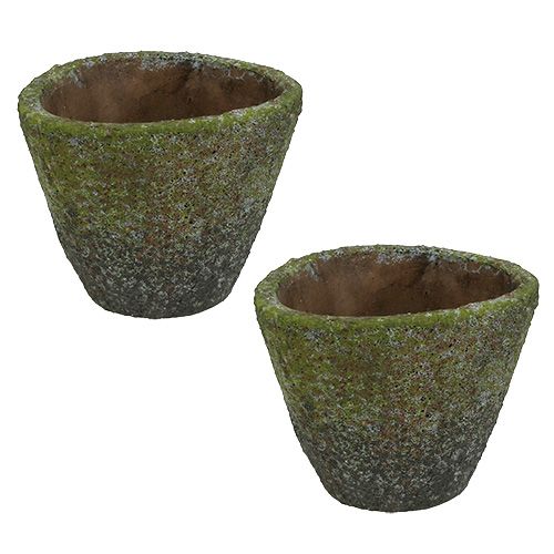 Pot for planting Ø12cm H11cm 2pcs