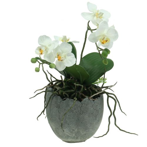 Floristik24 Concrete plant pot eggshell Ø14.5cm 15cm 2pcs
