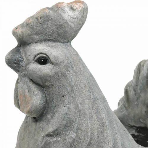 Chicken for planting, Easter decoration, plant pot, spring, decorative chicken concrete look H30cm