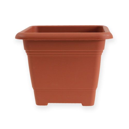 Flower pot "Nora" 14cm x 14cm H11cm terracotta, 1p