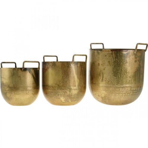 Floristik24 Antique look planter flower pot with metal handles H17 / 19.5 / 26cm, set of 3