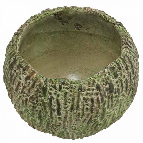 Product Concrete planter, antique look, green and brown, round plant pot, Ø15.5cm