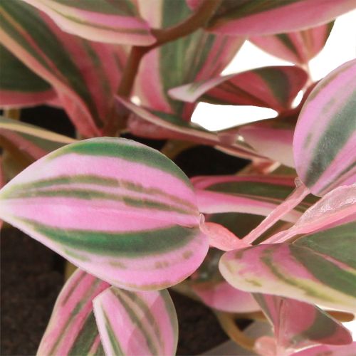 Product Tradescantia Artificial Green Plant in Pot H19.5cm 2pcs
