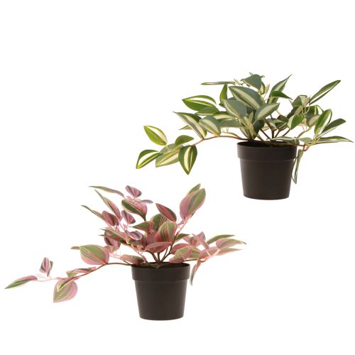 Product Tradescantia Artificial Green Plant in Pot H19.5cm 2pcs