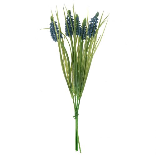 Grape hyacinth blue L 28-30cm