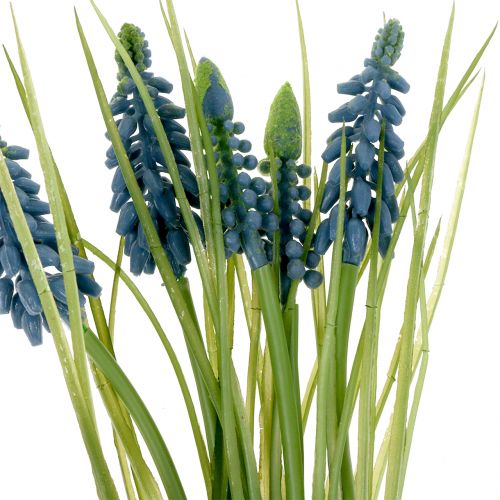 Floristik24 Grape hyacinth blue L 28-30cm
