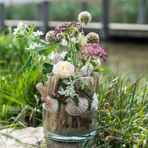 Floristik24 Driftwood decorative driftwood wooden sticks nature L15cm