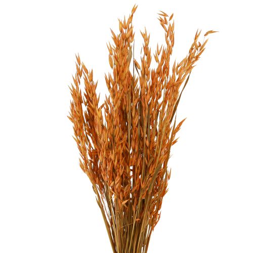 Floristik24 Dry Decoration Oat Decoration in Orange L64cm 70-75g 2pcs