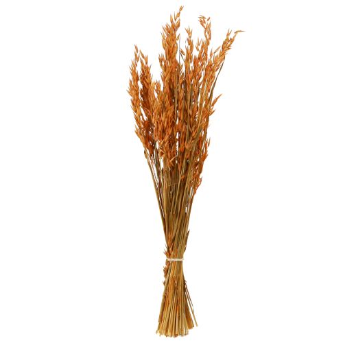 Floristik24 Dry Decoration Oat Decoration in Orange L64cm 70-75g 2pcs