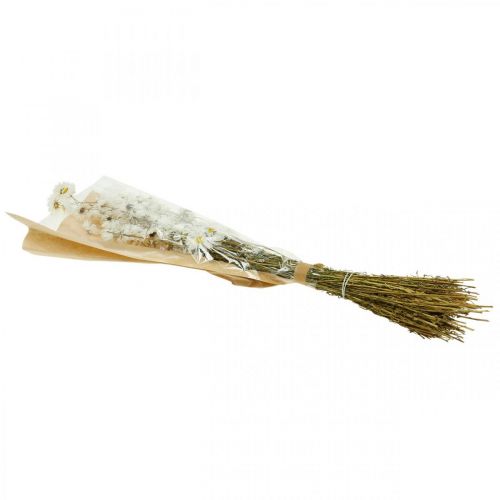 Floristik24 Dried flowers Acroclinium Small White flowers H38-65cm 60g