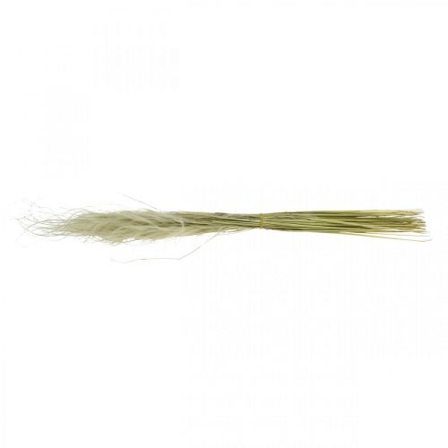 Floristik24 Dried flowers deco feather grass dry grass nature 50g