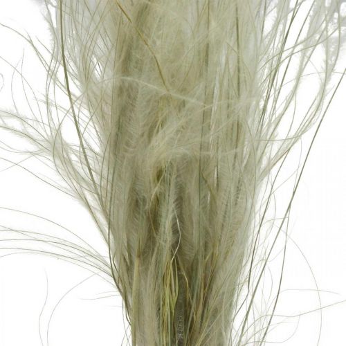 Product Dried flowers deco feather grass dry grass nature 50g