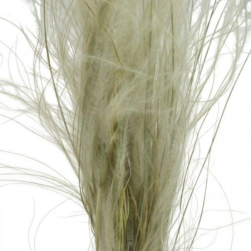 Floristik24 Dried flowers deco feather grass dry grass nature 50g