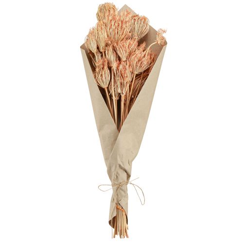 Product Dried Flowers Decoration Fennel Salmon L50cm Ø4-5cm 100g