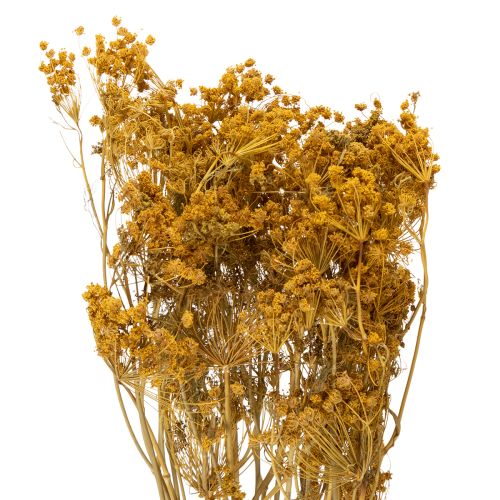 Floristik24 Dried flower bouquet with delicate blossoms for romantic vintage decoration 55cm