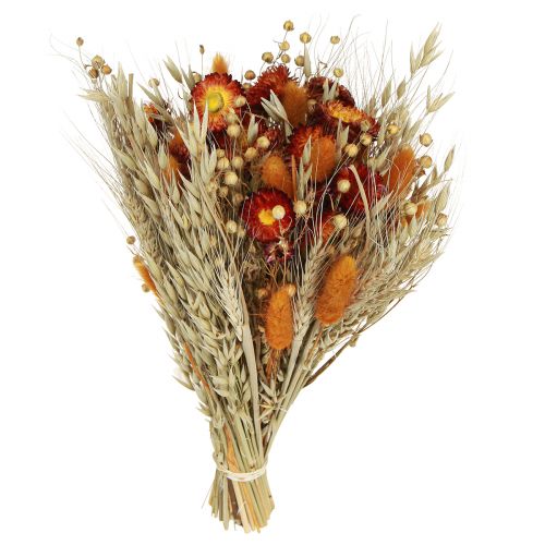 Dried flowers field flower bouquet straw flowers orange L30cm