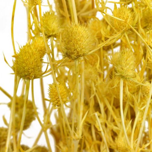 Product Dried flowers, yellow, dried thistle, strawberry thistle, 100g, decorative boho style