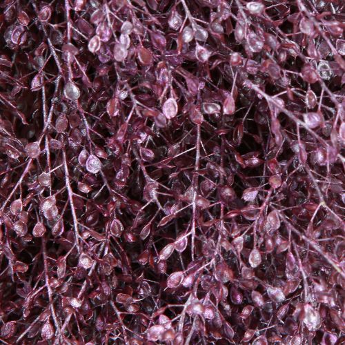 Product Decorative wreath, dried flowers, metallic purple Lepidium, wall wreath, Ø33cm, home accessory