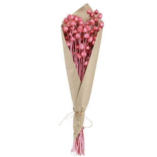 Product Dried Flowers Pink Dried Thistle Strawberry Thistle Dyed 50cm 100g