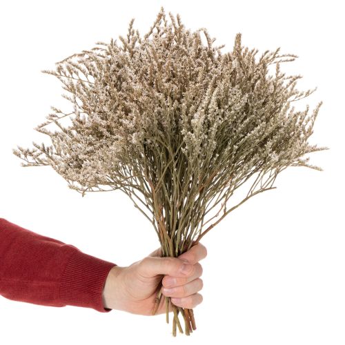 Dried flower beach lavender bunch Statice nature 1kg | Floristik24.ie
