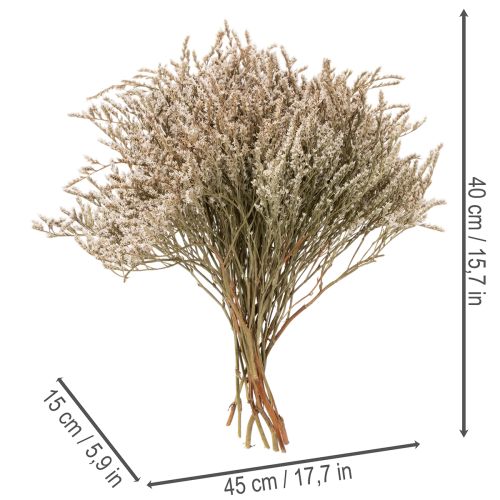 Dried flower beach lavender bunch Statice nature 1kg | Floristik24.ie