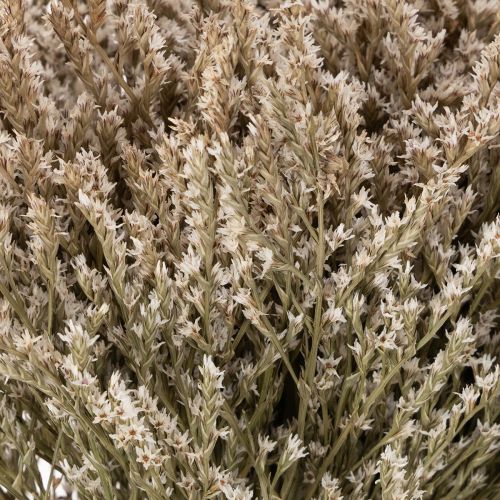 Dried flower beach lavender