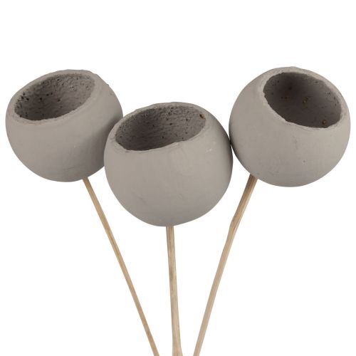 Product Dried flowers decorative bell cups on a stem gray 37cm 3pcs