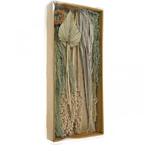 Floristik24 Dried flowers exotic white-nature mix, dry flora mix