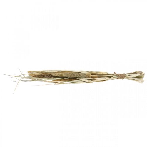 Product Dry floristry Grain Bunch of millet cobs dried 45cm