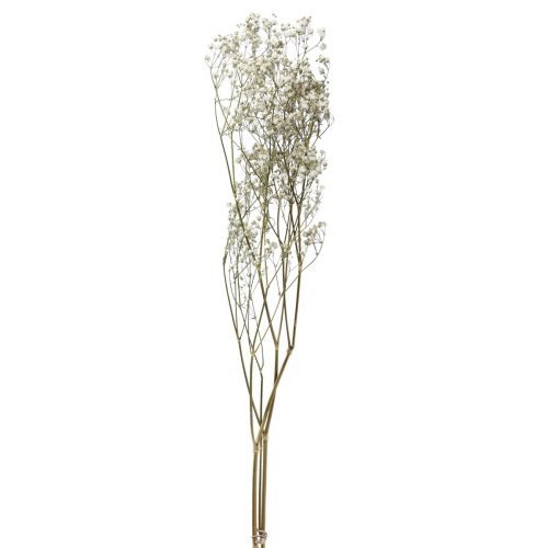 Floristik24 Dried flowers Gypsophila Gypsophila White 58cm 7g