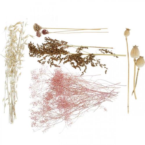 Floristik24 Dried Flowers Box White-Pink Mix Dried Flowers Set