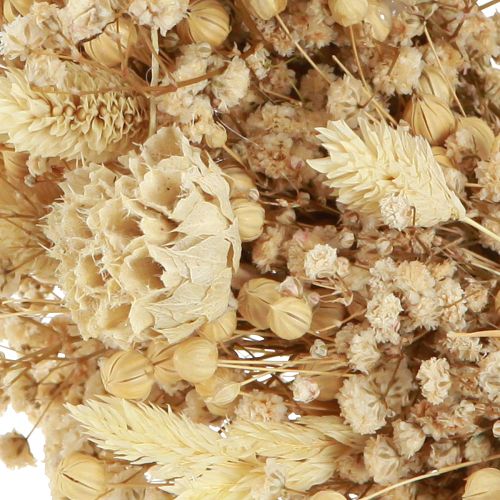 Floristik24 Dried flower wreath bleached decorative wreath cream Ø25cm
