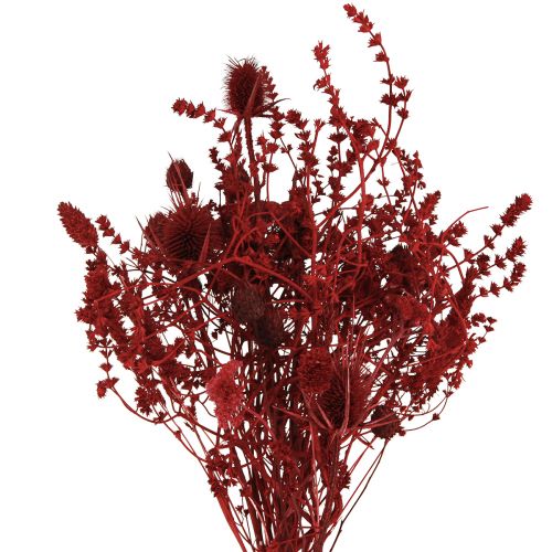 Product Dried flower bouquet, wine red, decorative thistle, 40cm, 80g