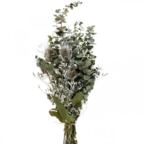 Floristik24 Bouquet of dried flowers eucalyptus bouquet of thistles 45-55cm 100g