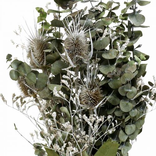 Floristik24 Bouquet of dried flowers eucalyptus bouquet of thistles 45-55cm 100g