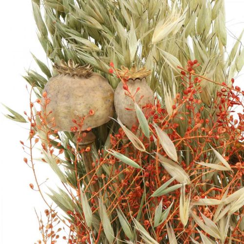 Floristik24 Bouquet of dried flowers cereals and poppies dry decoration 60cm 100g