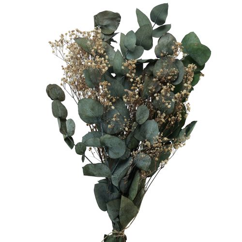 Floristik24 Dried flower bouquet eucalyptus gypsophila preserved 50cm green