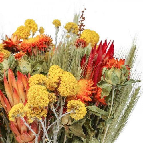 Floristik24 Dried flower bouquet meadow flowers orange H50cm 300g