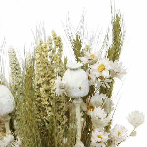 Floristik24 Bouquet of dried flowers straw flowers grain poppy capsule dry grass 50cm