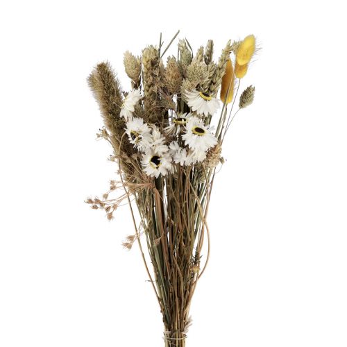 Product Dried flower bouquet straw flowers Phalaris white yellow 30cm