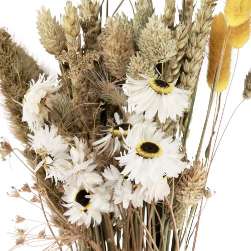 Product Dried flower bouquet straw flowers Phalaris white yellow 30cm