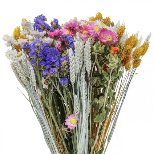 Floristik24 Dried flower bouquet straw flowers sea lavender phalaris grain 55cm
