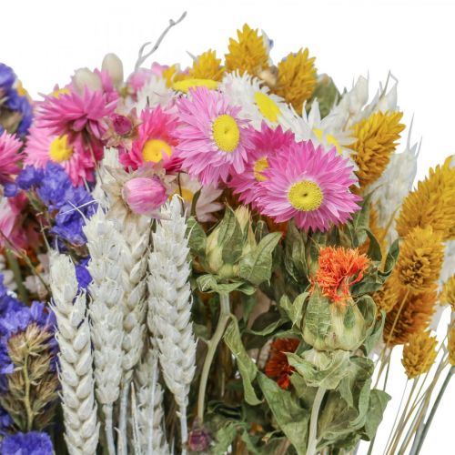 Floristik24 Dried flower bouquet straw flowers sea lavender phalaris grain 55cm